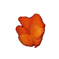Retour POISSONS